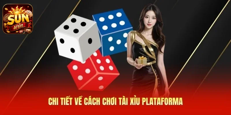 Chi tiết về cách chơi tài xỉu Plataforma