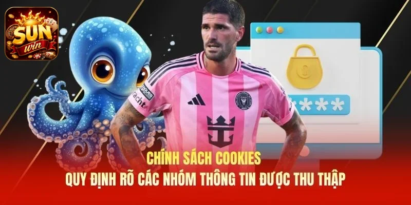 Chính sách Cookies quy định rõ các nhóm thông tin được thu thập