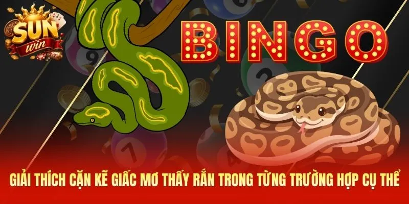 Giải thích cặn kẽ giấc mơ thấy rắn trong từng trường hợp cụ thể