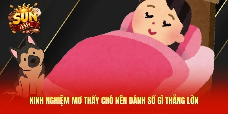 Kinh nghiệm mơ thấy chó nên đánh số gì thắng lớn