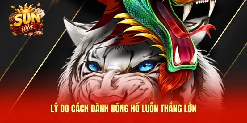 Lý do cách đánh rồng hổ luôn thắng lớn