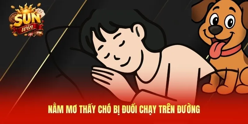 Nằm mơ thấy chó bị đuổi chạy trên đường