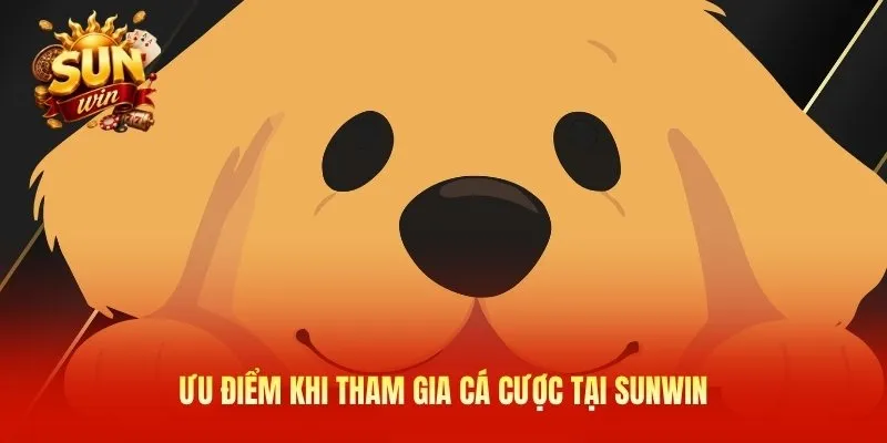 Ưu điểm khi tham gia cá cược tại Sunwin